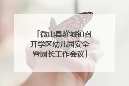 微山县驩城镇召开学区幼儿园安全暨园长工作会议