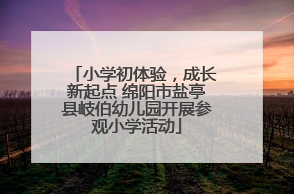 小学初体验，成长新起点 绵阳市盐亭县岐伯幼儿园开展参观小学活动