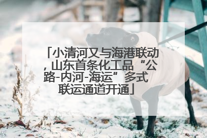 小清河又与海港联动，山东首条化工品“公路-内河-海运”多式联运通道开通