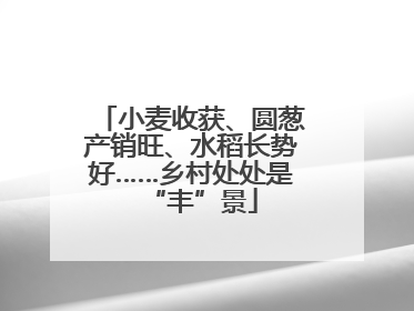 小麦收获、圆葱产销旺、水稻长势好……乡村处处是“丰”景