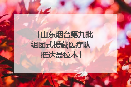 山东烟台第九批组团式援藏医疗队抵达聂拉木