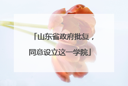 山东省政府批复，同意设立这一学院