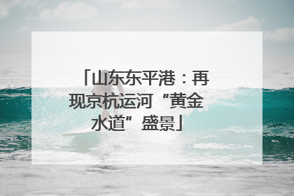 山东东平港：再现京杭运河“黄金水道”盛景