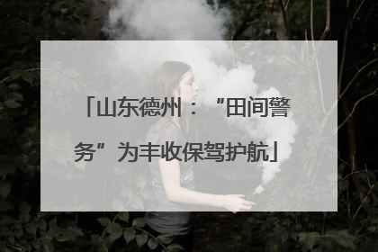 山东德州：“田间警务”为丰收保驾护航