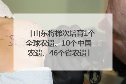 山东将梯次培育1个全球农遗、10个中国农遗、46个省农遗