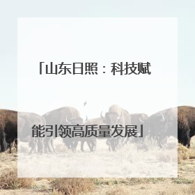 山东日照：科技赋能引领高质量发展
