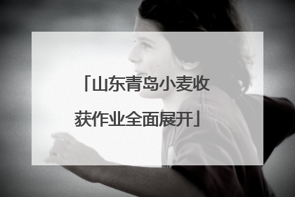 山东青岛小麦收获作业全面展开