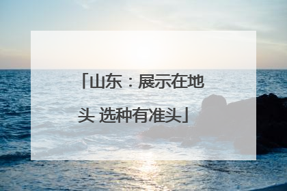 山东：展示在地头 选种有准头