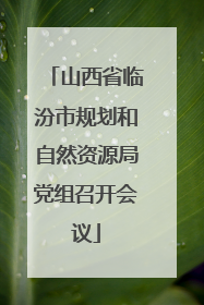 山西省临汾市规划和自然资源局党组召开会议