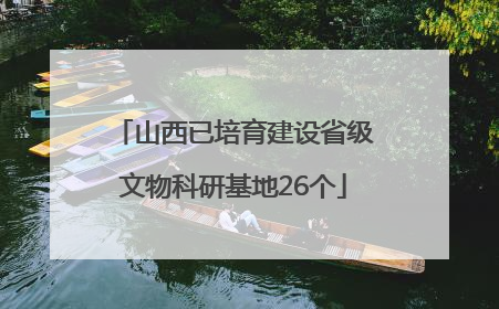 山西已培育建设省级文物科研基地26个