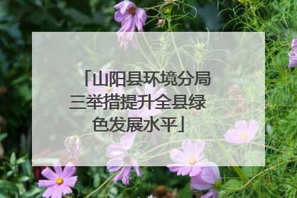 山阳县环境分局三举措提升全县绿色发展水平