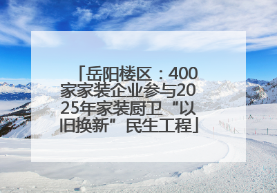 岳阳楼区：400家家装企业参与2025年家装厨卫“以旧换新”民生工程