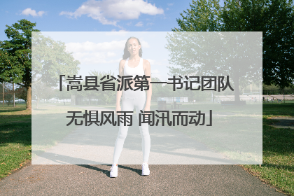 嵩县省派第一书记团队 无惧风雨 闻汛而动