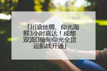 川渝丝绸、仰光海鲜3小时直达！成都双流⇌缅甸仰光全货运航线开通