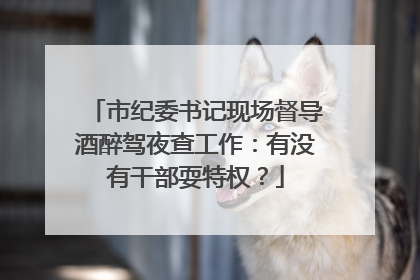 市纪委书记现场督导酒醉驾夜查工作：有没有干部耍特权？