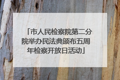 市人民检察院第二分院举办民法典颁布五周年检察开放日活动