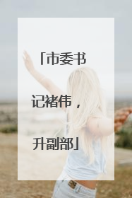 市委书记褚伟，升副部