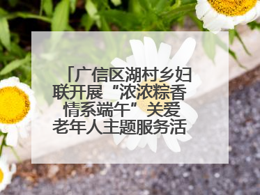 广信区湖村乡妇联开展“浓浓粽香 情系端午”关爱老年人主题服务活动（图）