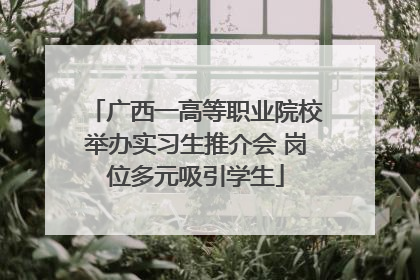 广西一高等职业院校举办实习生推介会 岗位多元吸引学生