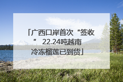 广西口岸首次“签收” 22.24吨越南冷冻榴莲已到货