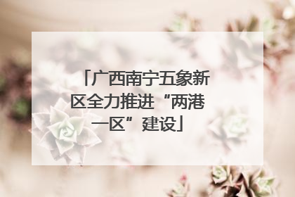 广西南宁五象新区全力推进“两港一区”建设