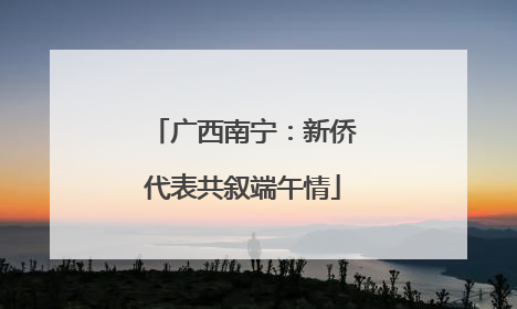 广西南宁：新侨代表共叙端午情