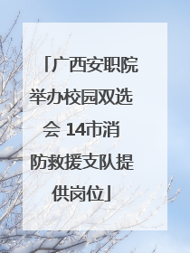 广西安职院举办校园双选会 14市消防救援支队提供岗位