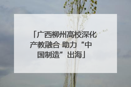 广西柳州高校深化产教融合 助力“中国制造”出海