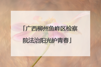 广西柳州鱼峰区检察院法治阳光护青春