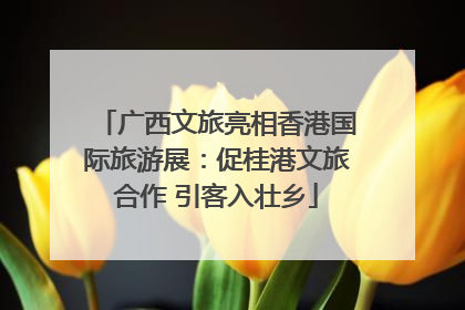 广西文旅亮相香港国际旅游展：促桂港文旅合作 引客入壮乡