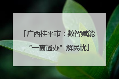 广西桂平市：数智赋能“一窗通办”解民忧