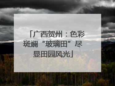 广西贺州：色彩斑斓“玻璃田”尽显田园风光