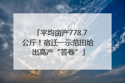 平均亩产778.7公斤！宿迁一示范田给出高产“答卷”