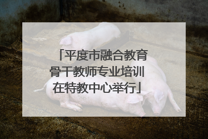 平度市融合教育骨干教师专业培训在特教中心举行