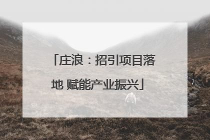 庄浪：招引项目落地 赋能产业振兴