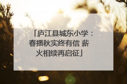 庐江县城东小学：春播秋实终有信 薪火相续再启征