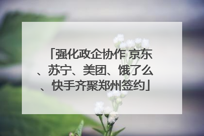 强化政企协作 京东、苏宁、美团、饿了么、快手齐聚郑州签约