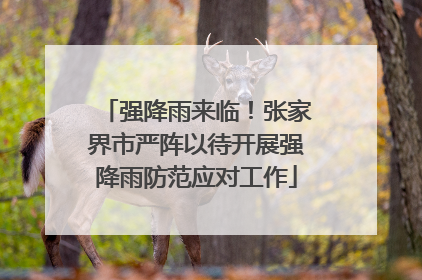 强降雨来临！张家界市严阵以待开展强降雨防范应对工作