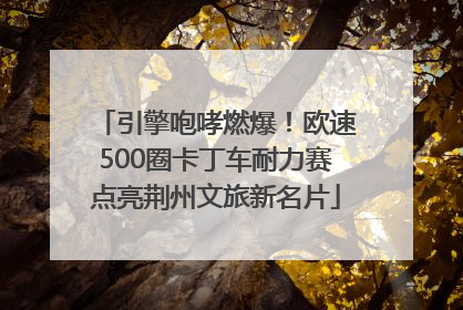 引擎咆哮燃爆！欧速500圈卡丁车耐力赛点亮荆州文旅新名片