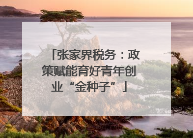 张家界税务：政策赋能育好青年创业“金种子”