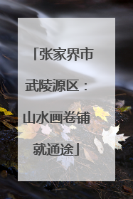 张家界市武陵源区：山水画卷铺就通途