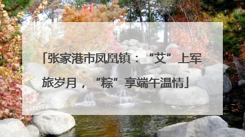 张家港市凤凰镇：“艾”上军旅岁月，“粽”享端午温情