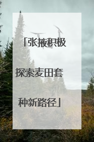 张掖积极探索麦田套种新路径