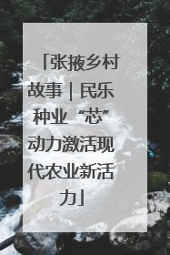 张掖乡村故事｜民乐种业“芯”动力激活现代农业新活力