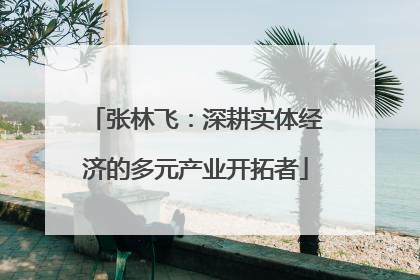 张林飞：深耕实体经济的多元产业开拓者