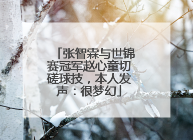 张智霖与世锦赛冠军赵心童切磋球技，本人发声：很梦幻