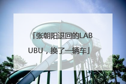 张朝阳退回的LABUBU，换了一辆车