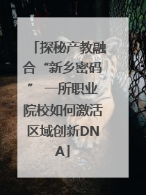 探秘产教融合“新乡密码” 一所职业院校如何激活区域创新DNA
