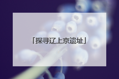 探寻辽上京遗址