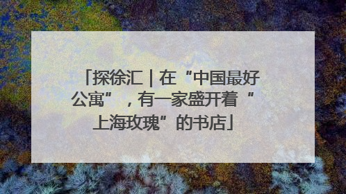 探徐汇｜在“中国最好公寓”，有一家盛开着“上海玫瑰”的书店